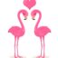 FLAMINGO – The Symbol of Romantic Love & Soulmate
